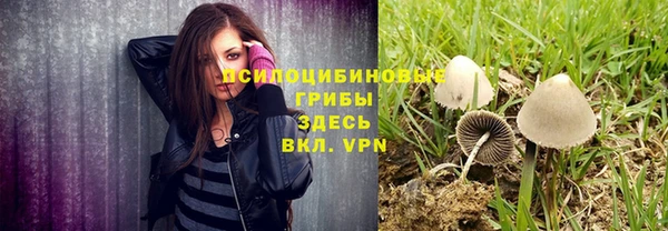 трава Зеленокумск