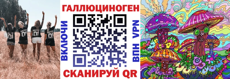 Купить закладки  Малаховка  Галлюциногенные грибы Psilocybe 